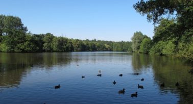 Essex Commuter Town: Brentwood