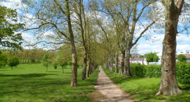 Gladstone Park - a beautiful open space in Neasden